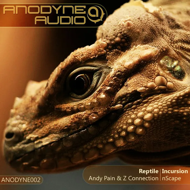 Reptile / Incursion