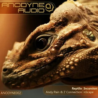 Reptile / Incursion by Andy Pain