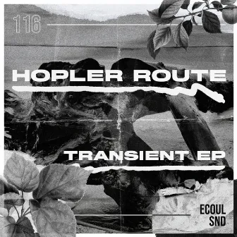 Transient by Hopler Route