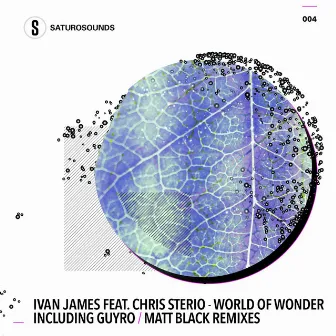 World of Wonder by Ivan James (AZ)