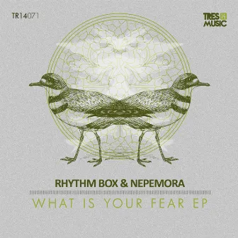 What is your fear by Nepemora