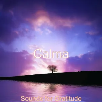 Sounds for Gratitude by Calma