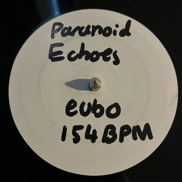 Paranoid Echoes