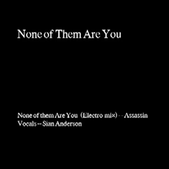 None of The Are You - Electro Mix