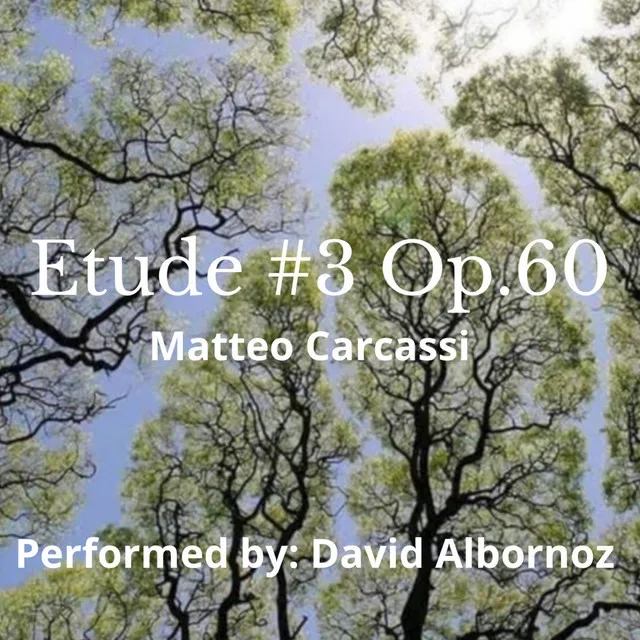 Etude No.3 Op.60 (Carcassi)