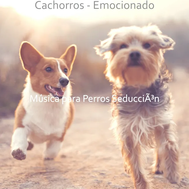 Cachorros - Emocionado