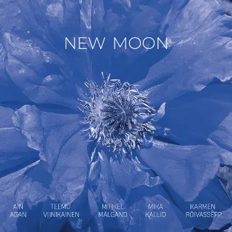 New Moon by Ain Agan