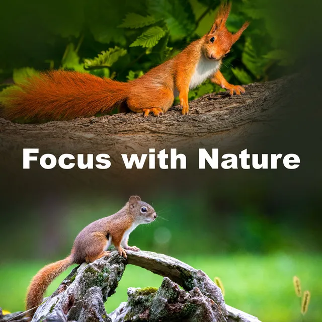 Focus with Nature