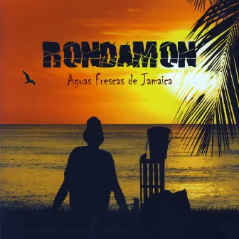 Aguas Frescas De Jamaica by Rondamon