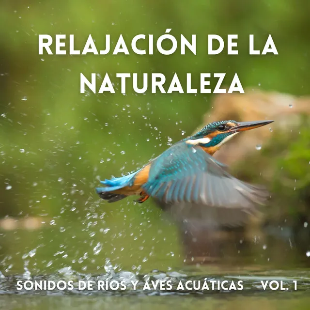 Relajación De La Naturaleza: Sonidos De Ríos Y Aves Acuáticas Vol. 1