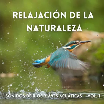 Relajación De La Naturaleza: Sonidos De Ríos Y Aves Acuáticas Vol. 1 by 