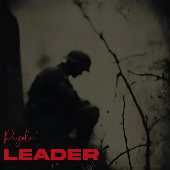 Leader by Pizole