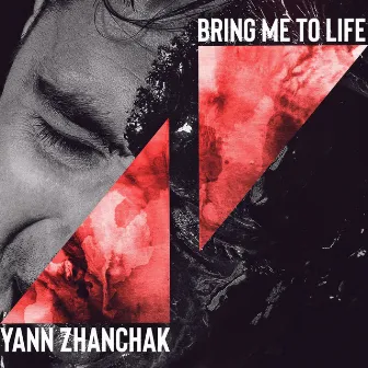 Bring Me to Life by Yann Zhanchak