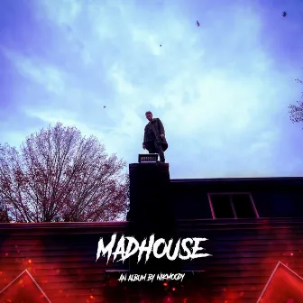 Madhouse by nikmoody