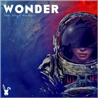 Wonder by Rabbit Theft