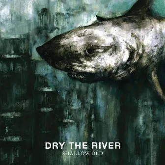 Shallow Bed (Deluxe Version) by Dry the River