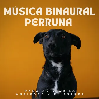 Música Binaural Perruna Para Aliviar La Ansiedad Y El Estrés by Reiki para animales