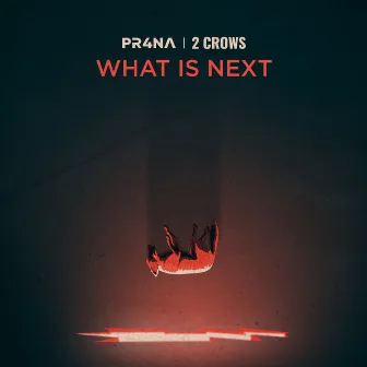 What Is Next by 2 Crows