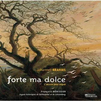 Brahms: Forte ma dolce by François Ménissier