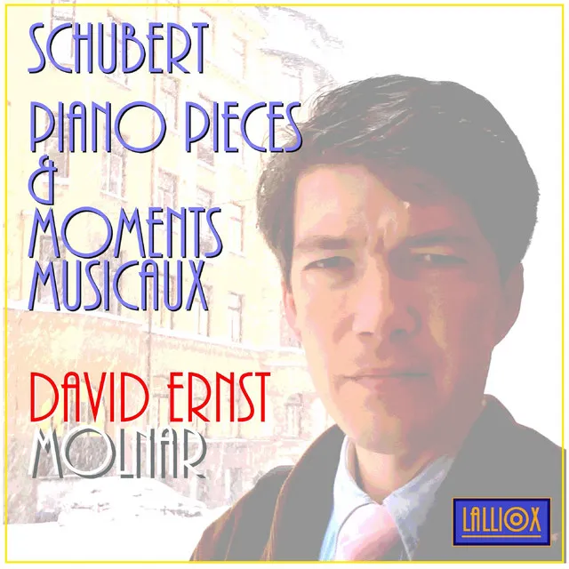 Schubert: Moment Musical in C-Sharp Minor, D.780 No. 4, Moderato