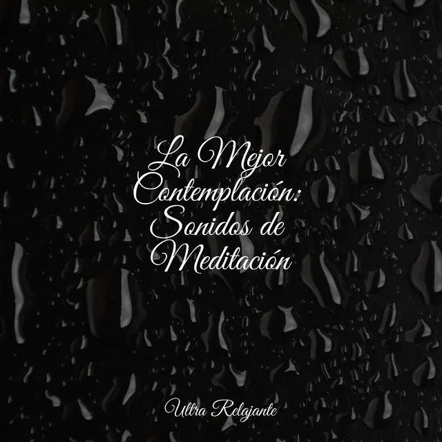 La Mejor Contemplación: Sonidos de Meditación