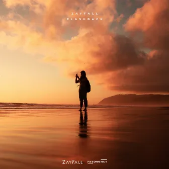 Flashback by Zayfall