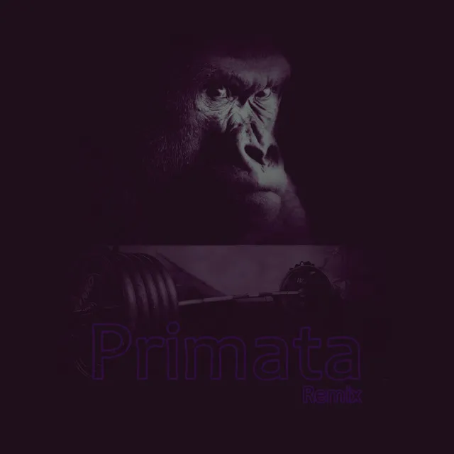 Primata ( Remix )