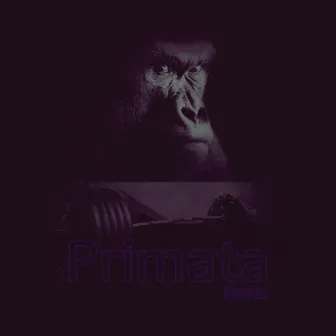 Primata ( Remix ) by Notturno