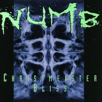 Christmeister Bliss by Numb