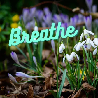 Breathe by Dr Namaste