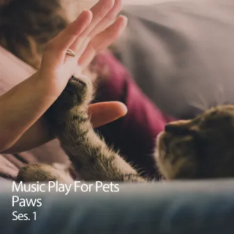 Music Play For Pets Paws Ses.1 by Relax My Cat