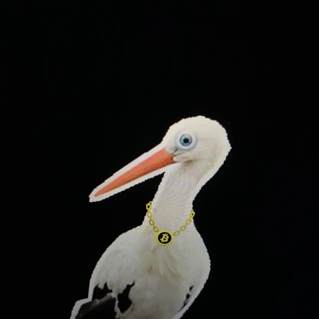 Storch wartet auf Bus