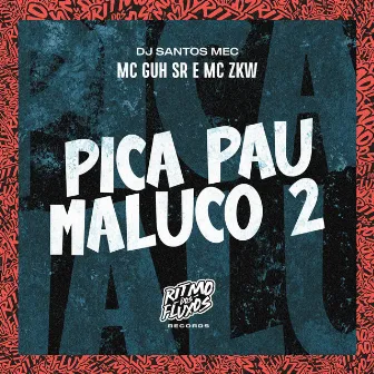 Pica Pau Maluco 2 by DJ Santos MEC