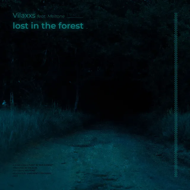 lost in the forest