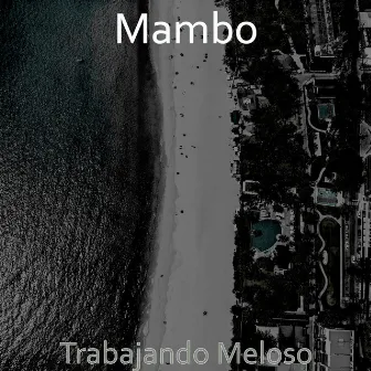 Trabajando Meloso by Mambo