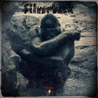 Silverback by Young Deshi