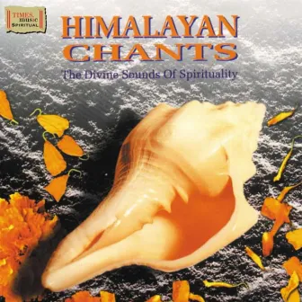 Himalayan Chants by Ashit Desai