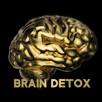 Brain Detox: Vibrations and Meditation for Cleansing by John Pure