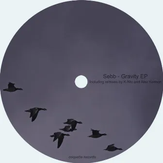 Gravity by Sebb