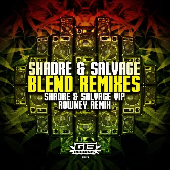 Blend Remixes by Salvage