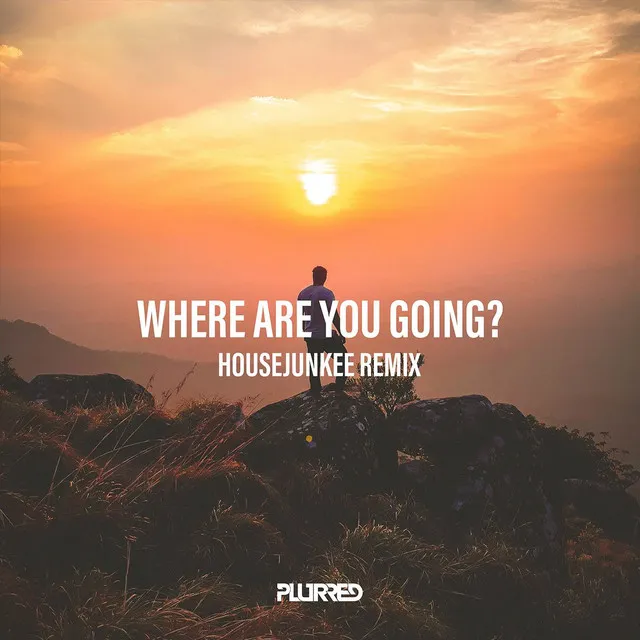 Where Are You Going (Remix)