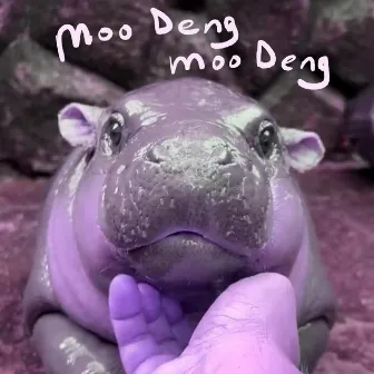 Moo Deng by John Wlaysewski