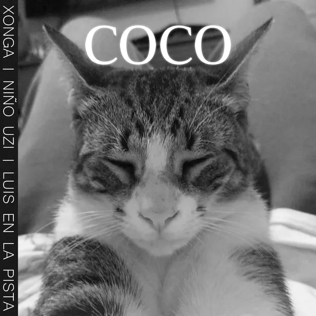 Coco