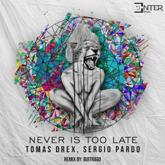 Never Is Too Late by Tomas Drex