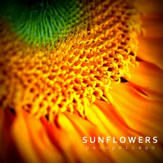 Sunflowers by Paco Periago