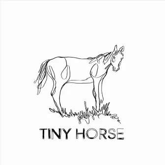 Tiny Horse by Charlie Whitten