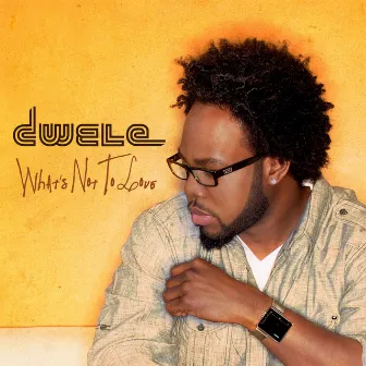 What's Not To Love by Dwele