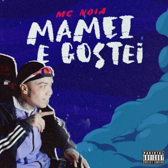 Mamei e Gostei by Mc Noia