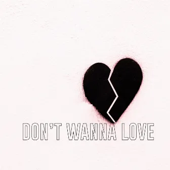 Don’t Wanna Love (Radio Edit) by Melanie Fontana