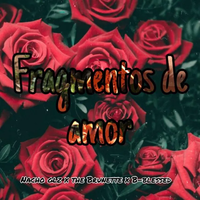 Fragmentos de Amor